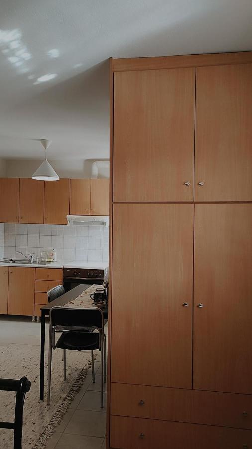 Amaltheia Studio Ioannina Exterior photo