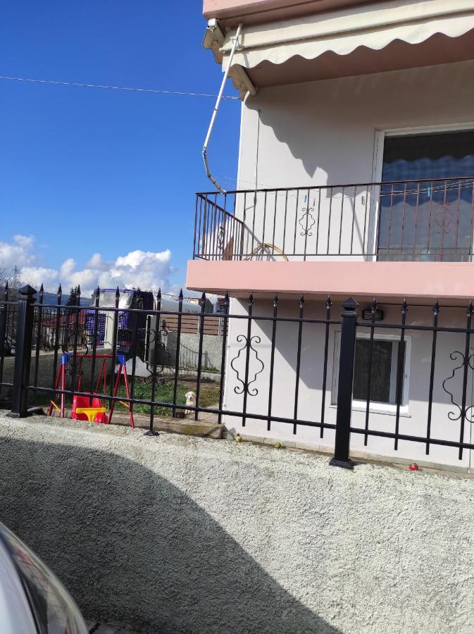 Amaltheia Studio Ioannina Exterior photo